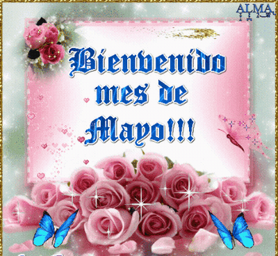 A Bienvenido Mes De Mayo Card With Pink Roses And Butterflies GIF