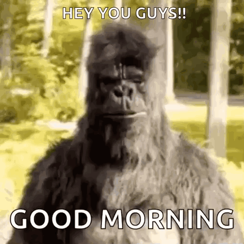 A Bigfoot Is Standing In The Grass And Says `` Hey You Guys Good Morning '' . GIF