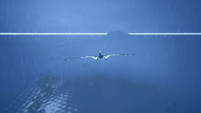A Bird Flying Over A Body Of Water With A White Line In The Middle GIF