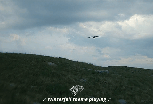 A Bird Is Flying Over A Grassy Hill With The Words Winterfell Theme Playing GIF