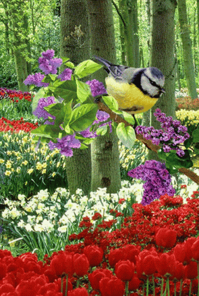 A Bird Is Perched On A Branch In A Garden Of Flowers GIF