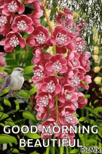A Bird Is Perched On A Branch Of Pink Flowers And Says `` Good Morning Beautiful '' . GIF