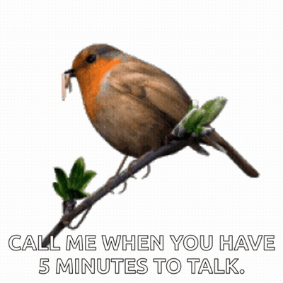 A Bird Is Perched On A Branch With The Words Call Me When You Have 5 Minutes To Talk Below It GIF