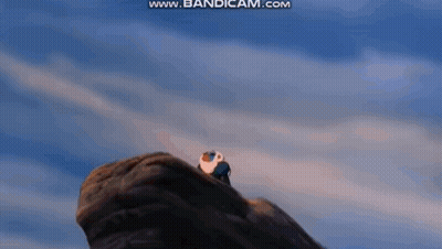 A Bird Is Perched On Top Of A Rock . GIF