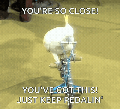 A Bird Is Riding A Bike With The Caption " You 'Re So Close " GIF