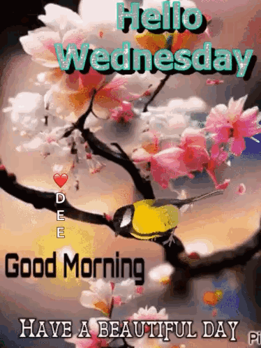 A Bird Is Sitting On A Branch With Flowers And Says `` Hello Wednesday Good Morning Have A Beautiful Day . '' GIF