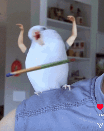 A Bird Is Sitting On A Person 'S Shoulder With A Brush Sticking Out Of It 'S Beak GIF