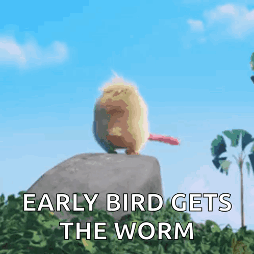 Early Bird GIFs