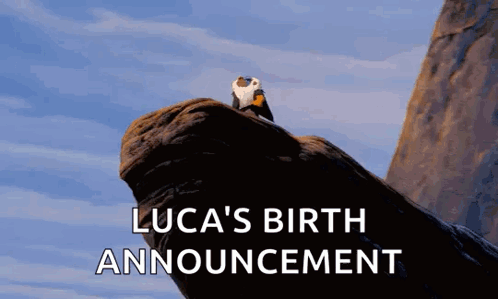 A Bird Is Sitting On Top Of A Rock With The Words Luca 'S Birth Announcement Written Below It GIF