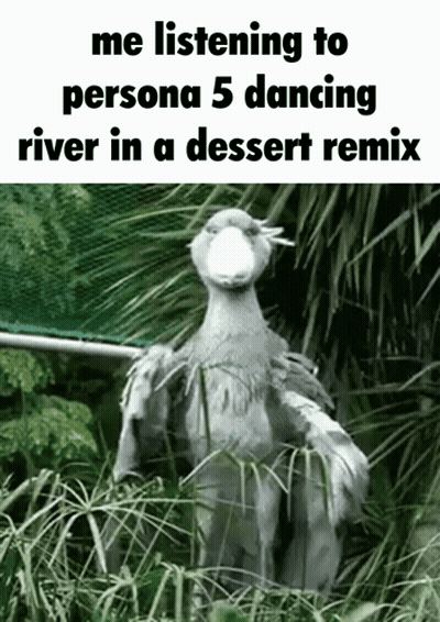 A Bird Is Standing In The Grass With The Words " Me Listening To Persona 5 Dancing River In A Dessert Remix " GIF