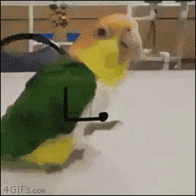 A Bird Is Wearing A Green And Yellow Outfit And A Microphone On Its Head .. GIF