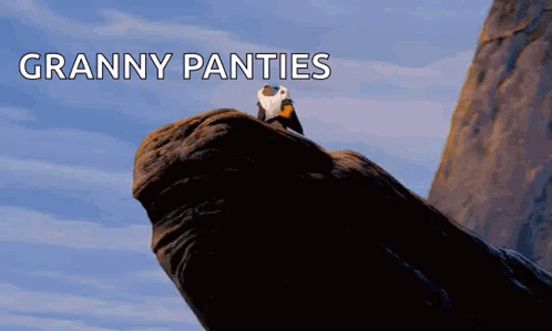 A Bird Sitting On Top Of A Rock With The Words Granny Panties Written On The Bottom GIF