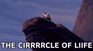 A Bird Sitting On Top Of A Rock With The Words " The Cirrrrcle Of Liife " Above It GIF