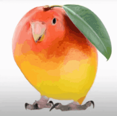A Bird That Looks Like An Apple With A Leaf On Its Head GIF