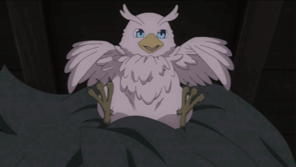 A Bird With A Blue Eye Is Sitting On A Rock GIF