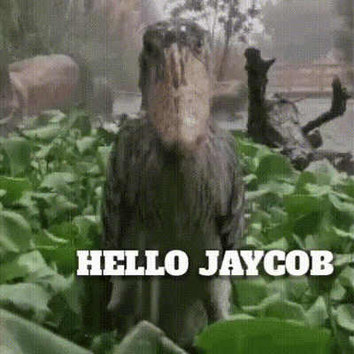 A Bird With A Large Beak Is Standing In A Field With The Words Hello Jaycob Above It . GIF