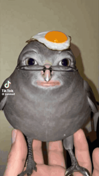 A Bird With Glasses And An Egg On Its Head Is Being Held By A Person GIF