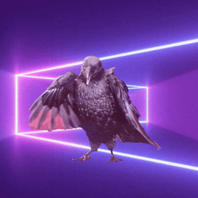 A Bird With Its Wings Outstretched Is Standing In Front Of A Purple Light GIF