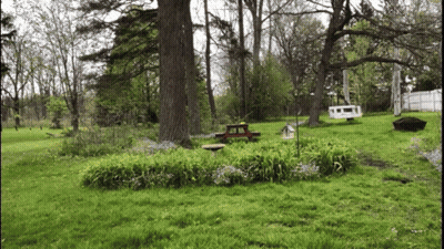 A Birdhouse Sits In The Middle Of A Lush Green Park GIF