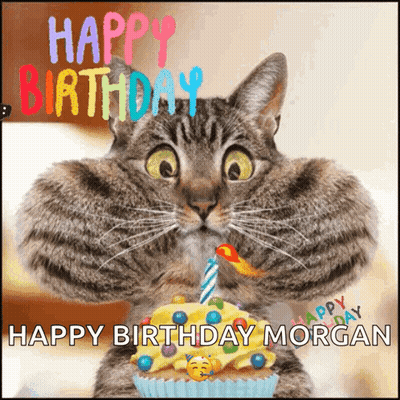 A Birthday Card With A Cat Holding A Cupcake With A Candle And The Words Happy Birthday Morgan GIF