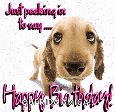 A Birthday Card With A Dog And The Words Just Peeking In To Say GIF