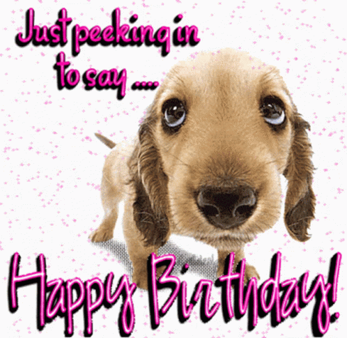A Birthday Card With A Puppy And The Words " Just Peeking In To Say Happy Birthday " GIF