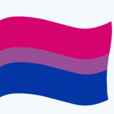 A Bisexual Flag With Pink Purple And Blue Stripes GIF