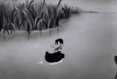 A Black And White Cartoon Of A Duck In A Pond . GIF