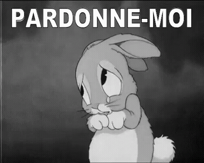 A Black And White Cartoon Of A Sad Bunny With The Words Pardonne-Moi Written Below It GIF