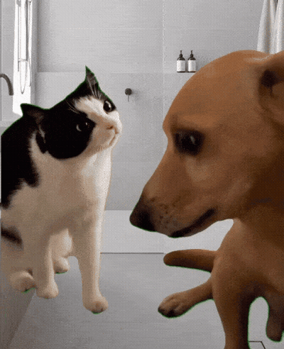A Black And White Cat And A Brown Dog Are Looking At Each Other GIF