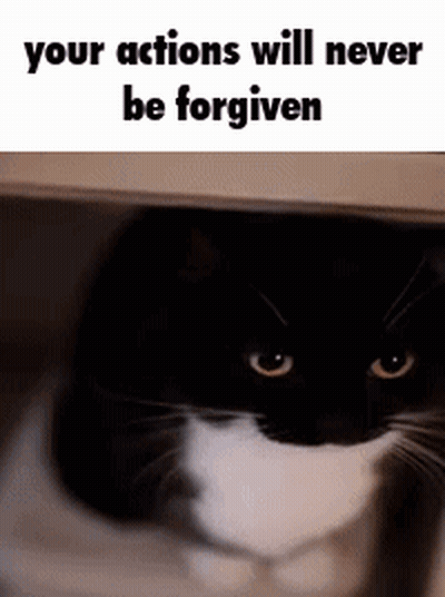 A Black And White Cat Is Hiding Under A Table With The Words `` Your Actions Will Never Be Forgiven '' GIF