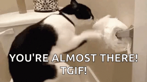 A Black And White Cat Is Holding A Roll Of Toilet Paper . GIF