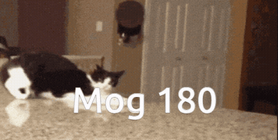 A Black And White Cat Is Jumping Over A Counter With The Words Mog 180 Written On It GIF
