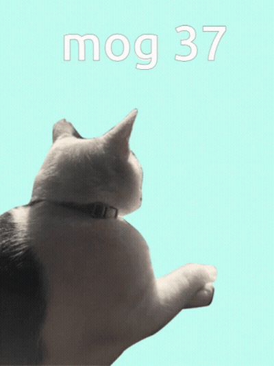 A Black And White Cat Is Laying On A Blue Background With The Words Mog 37 Above It GIF