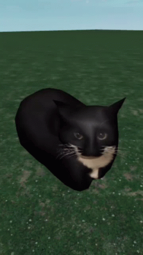 A Black And White Cat Is Laying On A Grassy Field GIF