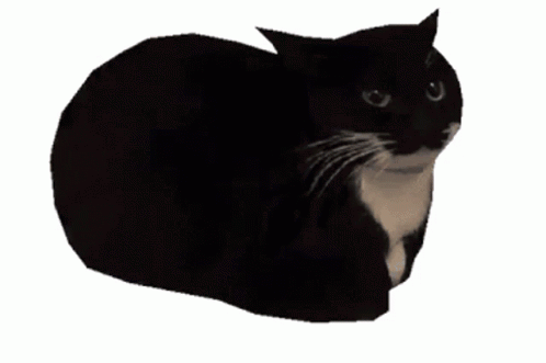 A Black And White Cat Is Looking At The Camera GIF