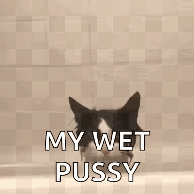 A Black And White Cat Is Peeking Out Of A Bathtub . GIF