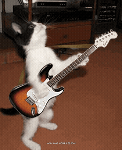 A Black And White Cat Is Playing A Guitar With The Words How Was Your Lesson Below It GIF