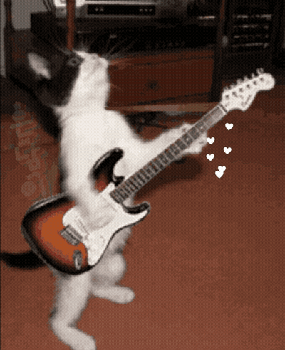 A Black And White Cat Is Playing An Electric Guitar With Hearts Around It GIF