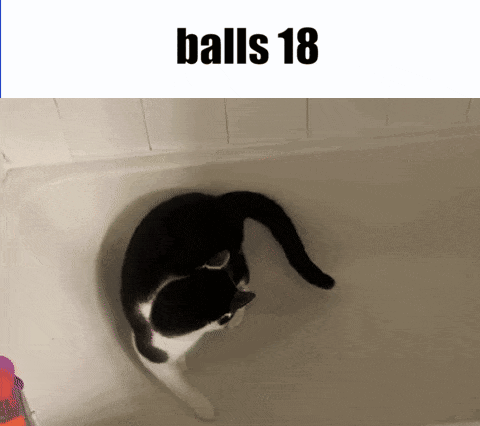 A Black And White Cat Is Playing In A Bathtub With The Words Balls 18 Above It GIF