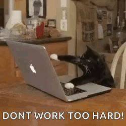 A Black And White Cat Is Sitting At A Table With A Laptop Computer . GIF