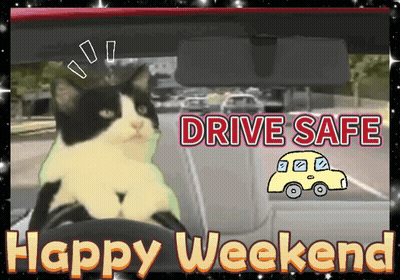 A Black And White Cat Is Sitting In A Car With The Words Drive Safe Happy Weekend GIF