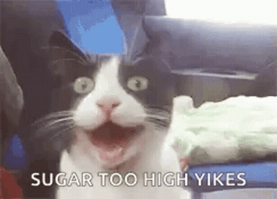 A Black And White Cat Is Sitting In A Chair With Its Mouth Open . GIF