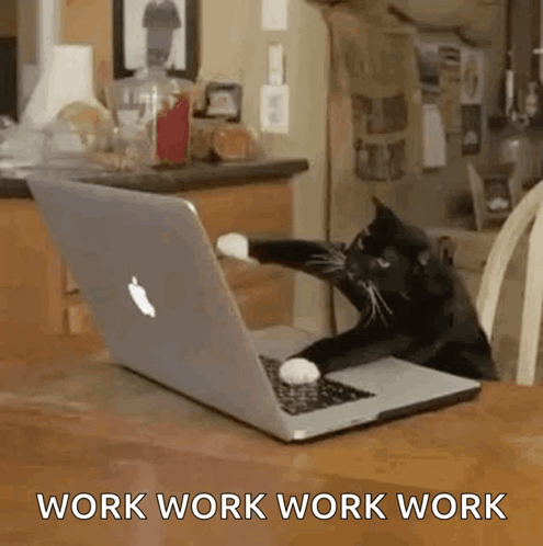 A Black And White Cat Is Sitting In Front Of An Apple Laptop Computer . GIF