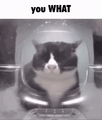 A Black And White Cat Is Sitting Inside Of A Plastic Container With The Words You What Above It . GIF