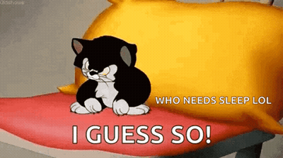 A Black And White Cat Is Sitting On A Bed Next To A Yellow Pillow And The Words I Guess So . GIF