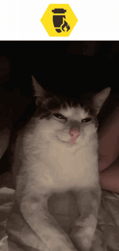 A Black And White Cat Is Sitting On A Bed Next To A Yellow Sign That Says ' Fire ' GIF