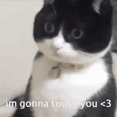 A Black And White Cat Is Sitting On A Couch And Saying `` Im Gonna Touch You < 3 '' . GIF