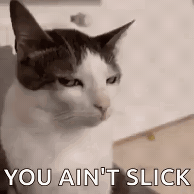 A Black And White Cat Is Sitting On A Couch With The Words `` You Ain 'T Slick '' . GIF