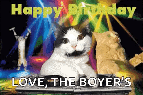 A Black And White Cat Is Sitting On A Dj 'S Turntable . GIF
